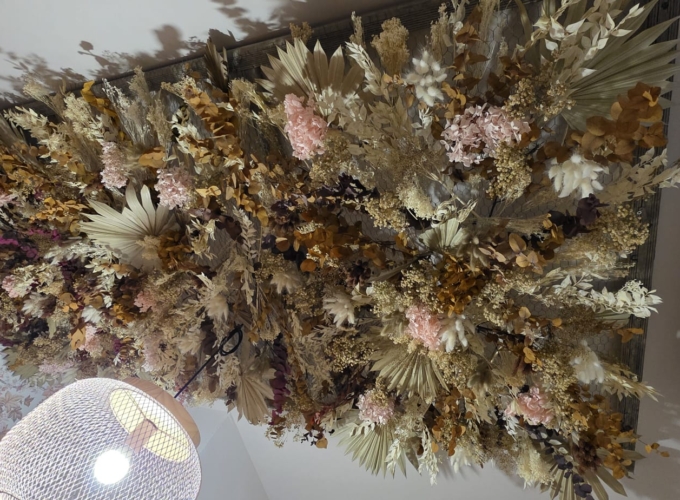 WhatsApp Image 2026-02-18 at 18.43.43